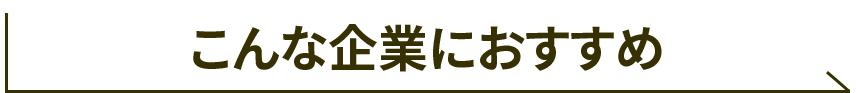 こんな企業におすすめ