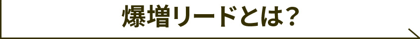 爆増リードとは？