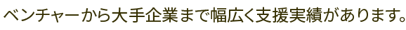 ベンチャーから大手企業まで幅広く支援実績があります。